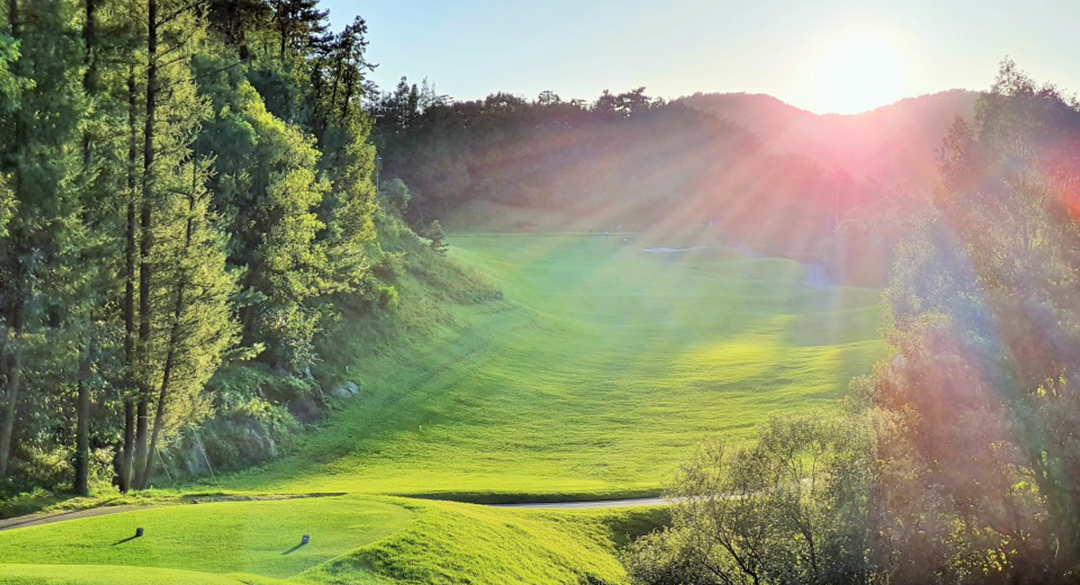 대영베이스컨트리클럽 골프장 예약 이미지 1