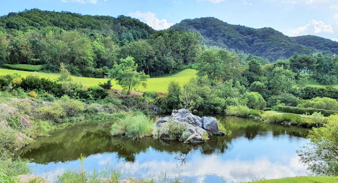 대영베이스컨트리클럽 골프장 예약 이미지 5