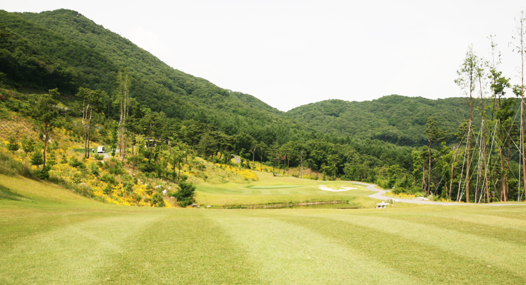 세일컨트리클럽 골프장 예약 이미지 4