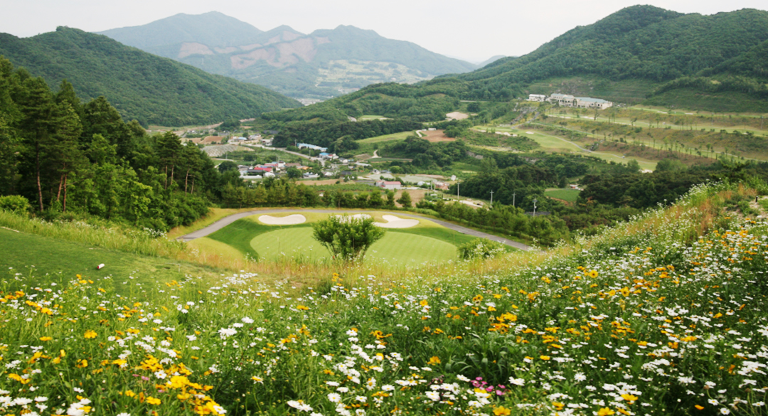세일컨트리클럽 골프장 예약 이미지 2