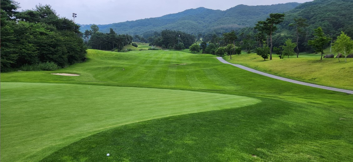 로얄포레컨트리클럽 골프장 예약 이미지 3