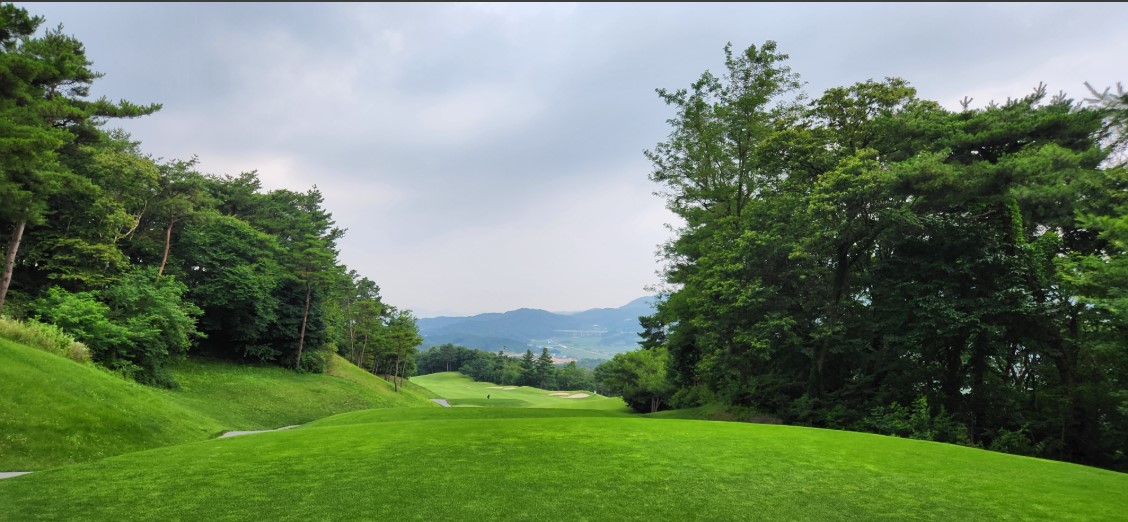 로얄포레컨트리클럽 골프장 예약 이미지 2