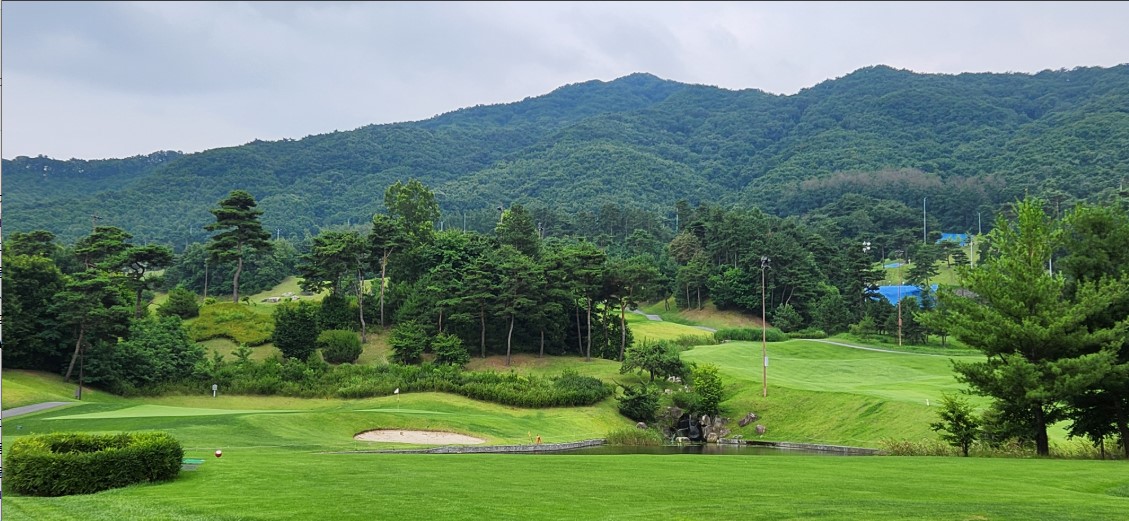 로얄포레컨트리클럽 골프장 예약 이미지 1
