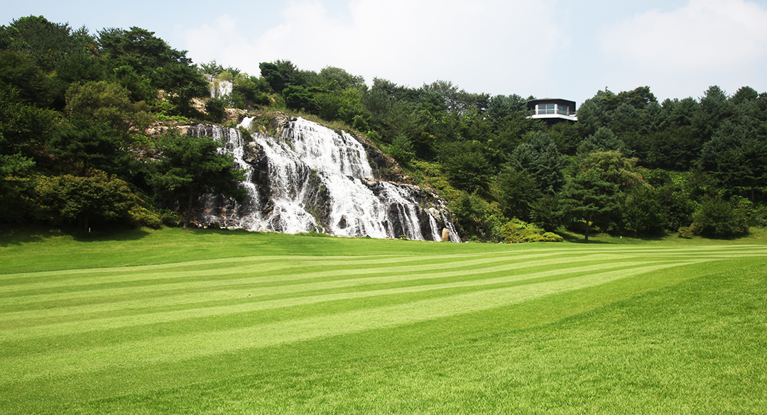 시그너스컨트리클럽 골프장 예약 이미지 4