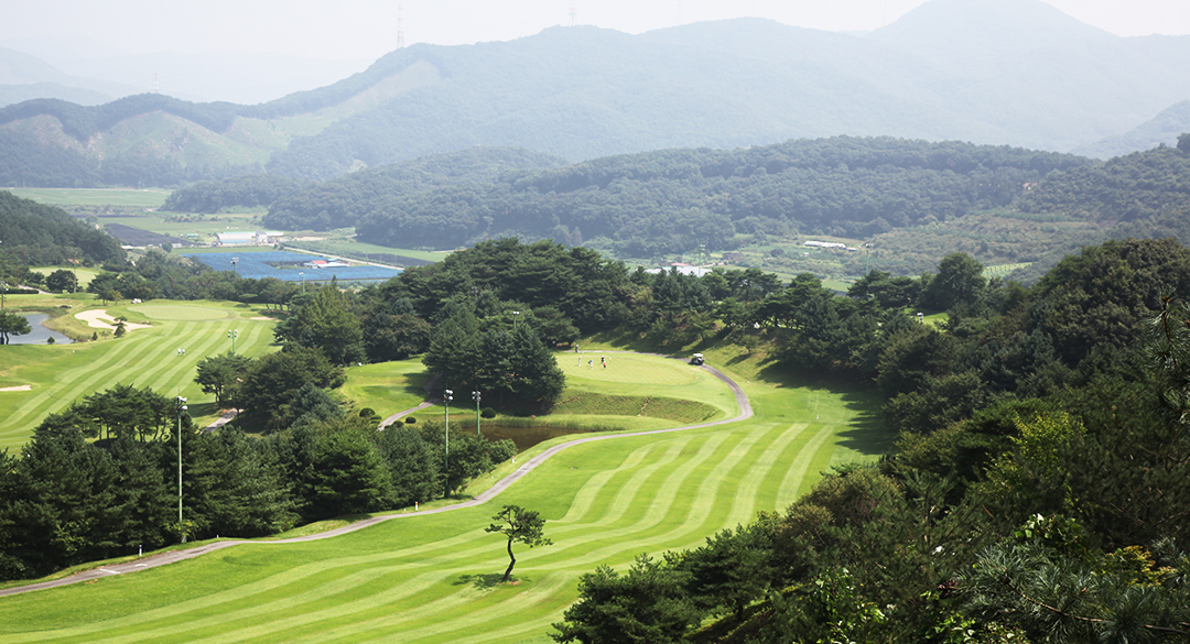 시그너스컨트리클럽 골프장 예약 이미지 5