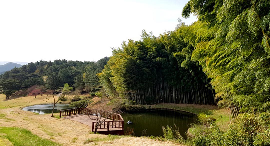 동래베네스트골프클럽 골프장 예약 이미지 4