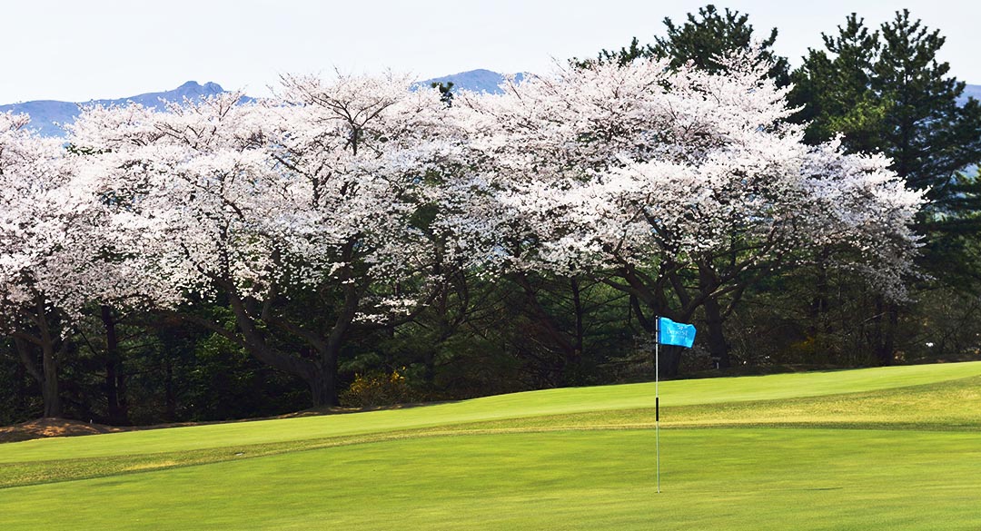 동래베네스트골프클럽 골프장 예약 이미지 2