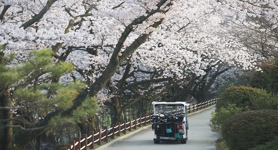동래베네스트골프클럽 골프장 예약 이미지 6