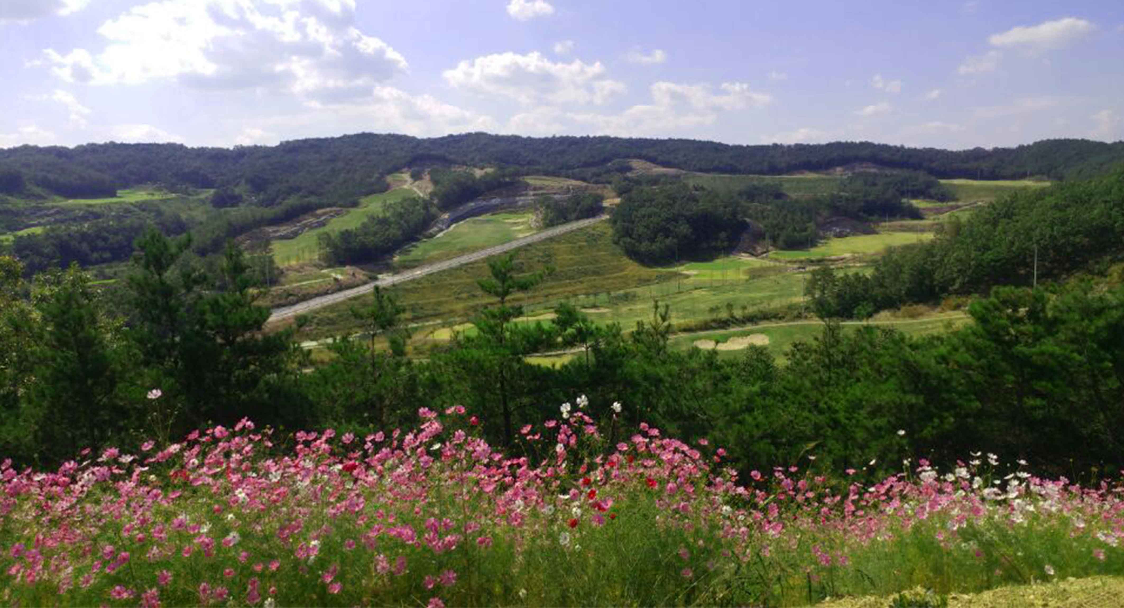 파라지오컨트리클럽 골프장 예약 이미지 6