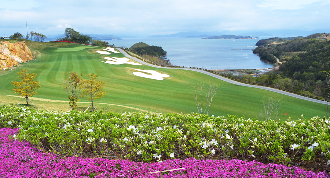 드비치골프클럽 골프장 예약 이미지 2