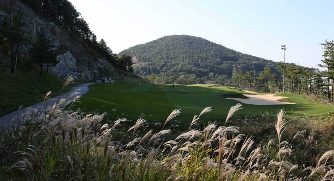 오션힐스청도골프클럽 골프장 예약 이미지 5