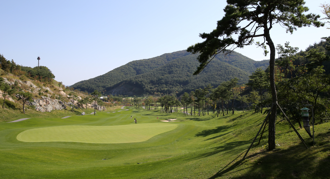 오션힐스청도골프클럽 골프장 예약 이미지 4