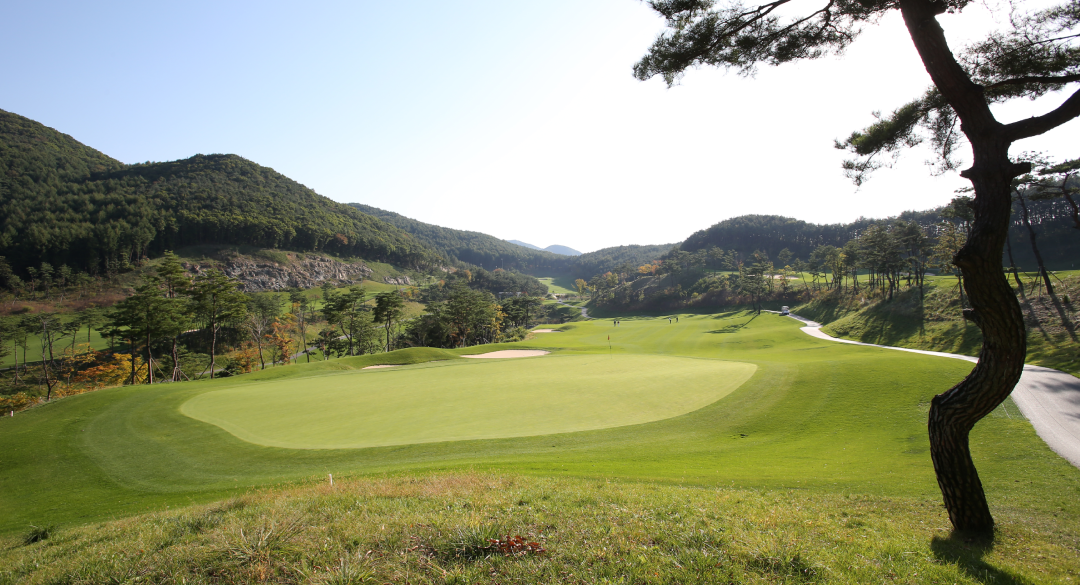 오션힐스청도골프클럽 골프장 예약 이미지 8