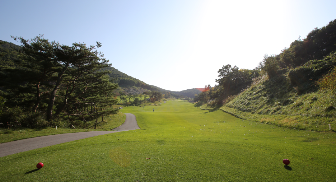 오션힐스청도골프클럽 골프장 예약 이미지 7