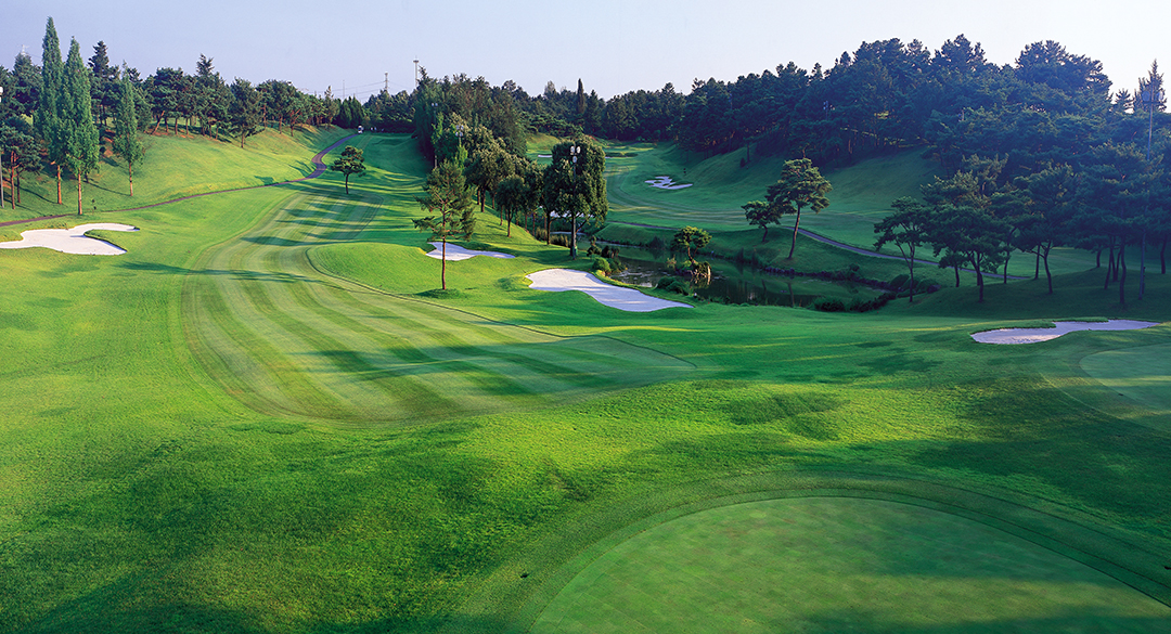 대구컨트리클럽 골프장 예약 이미지 1