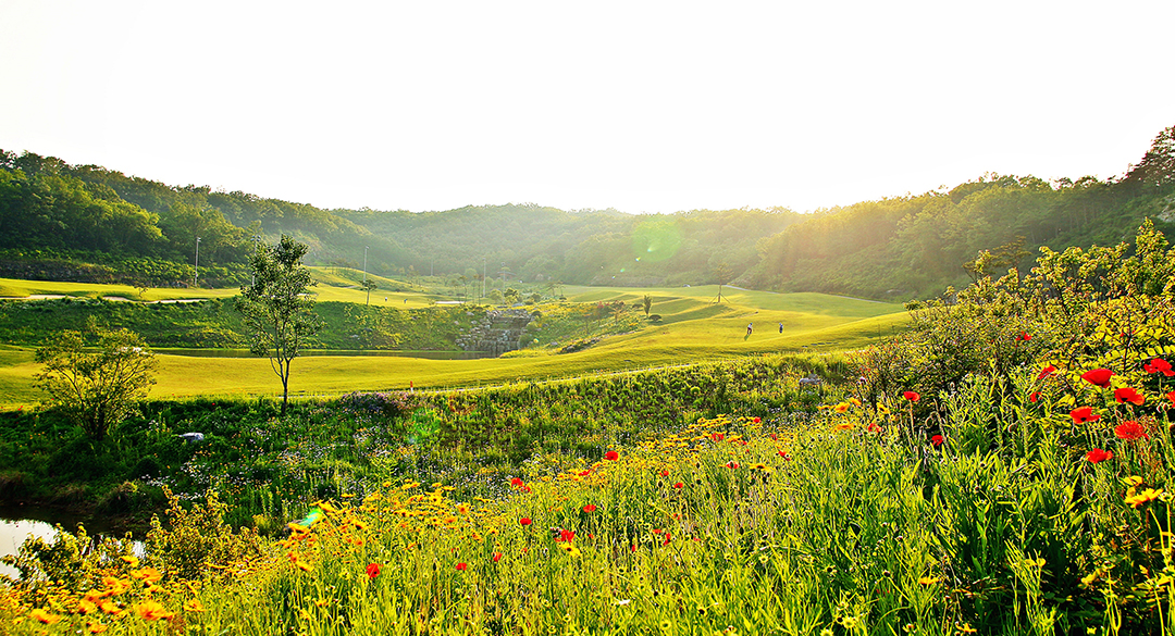 엠스클럽의성컨트리클럽 골프장 예약 이미지 5