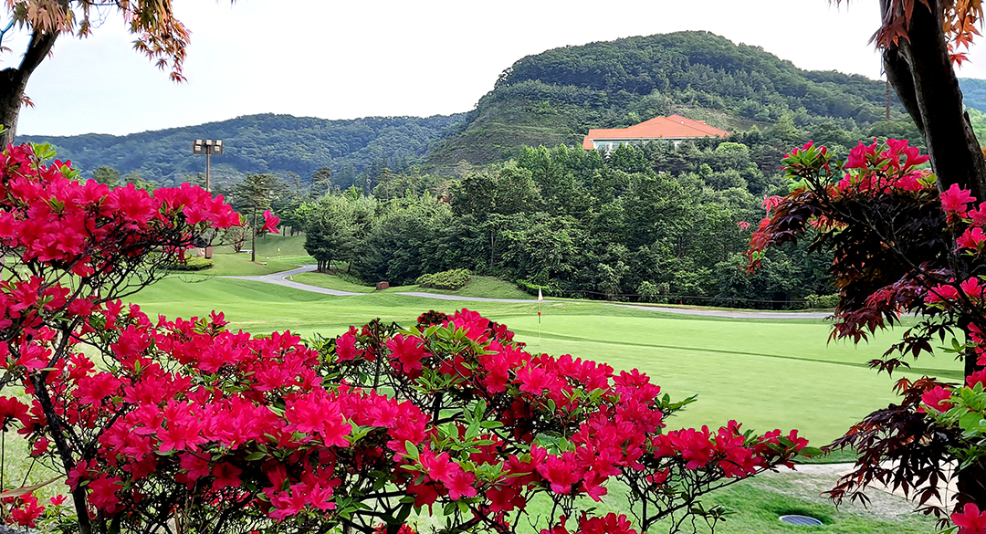 파주컨트리클럽 골프장 예약 이미지 5