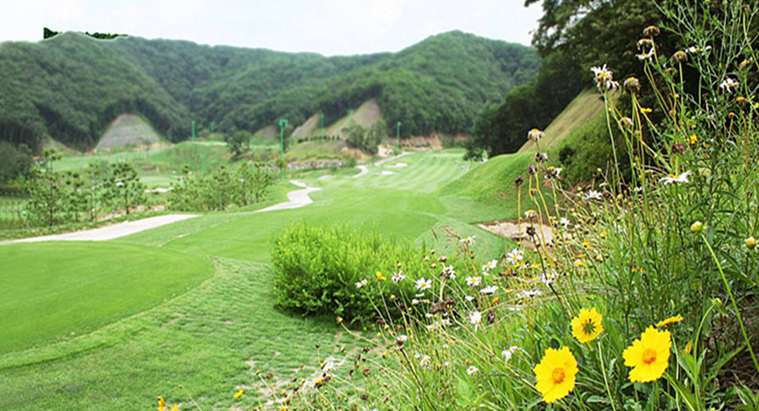 파주컨트리클럽 골프장 예약 이미지 6