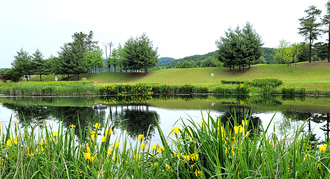 파주컨트리클럽 골프장 예약 이미지 4
