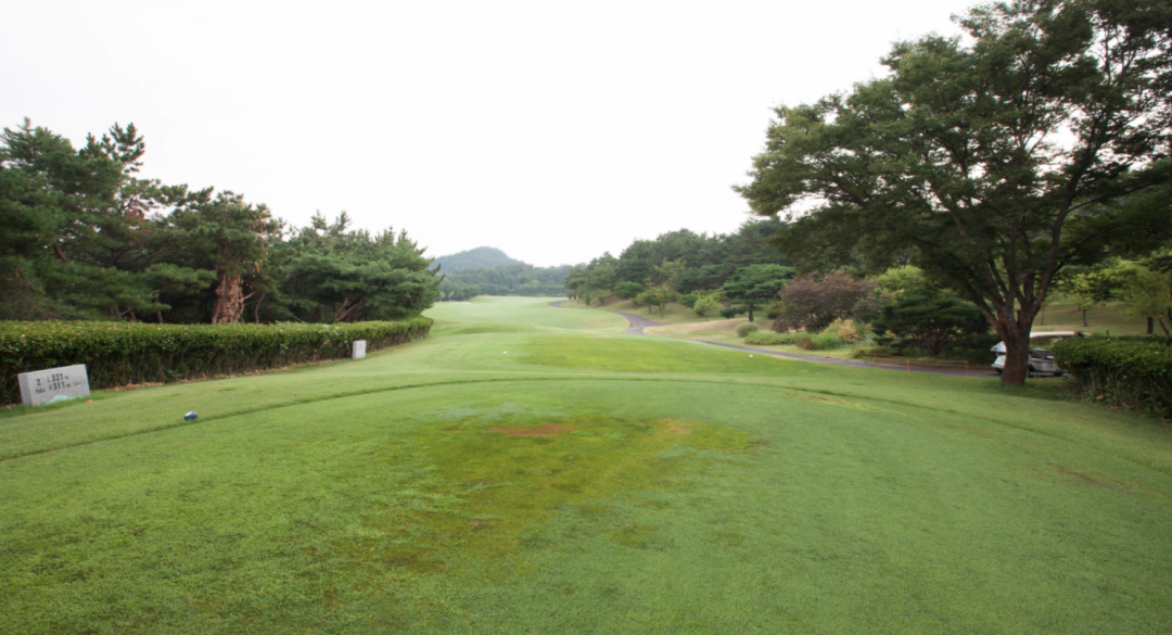 파미힐스컨트리클럽 골프장 예약 이미지 2