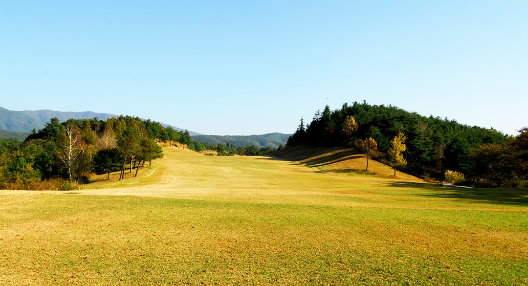 경주신라컨트리클럽 골프장 예약 이미지 5