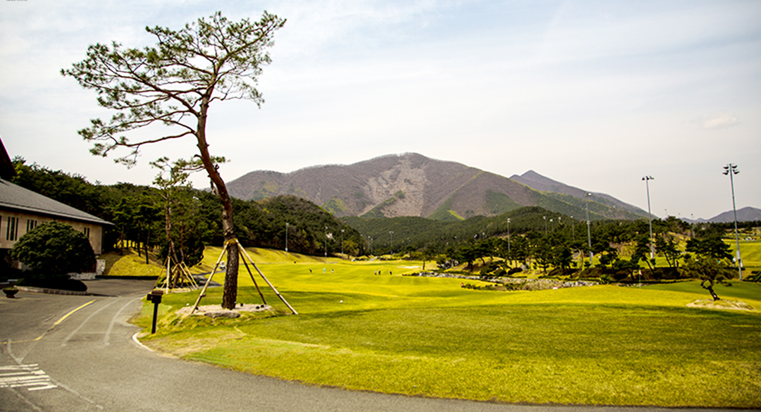 안강레전드(P9)골프클럽 골프장 예약 이미지 6