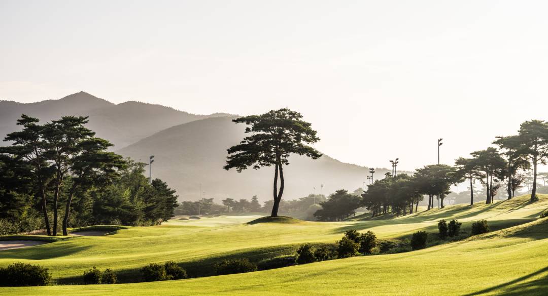 오션힐스포항컨트리클럽 골프장 예약 이미지 3