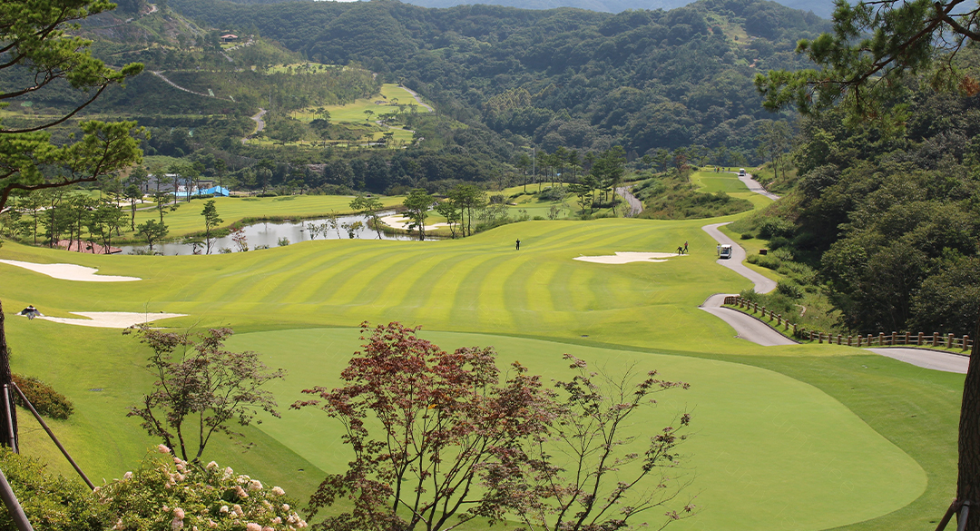 노스팜컨트리클럽 골프장 예약 이미지 4