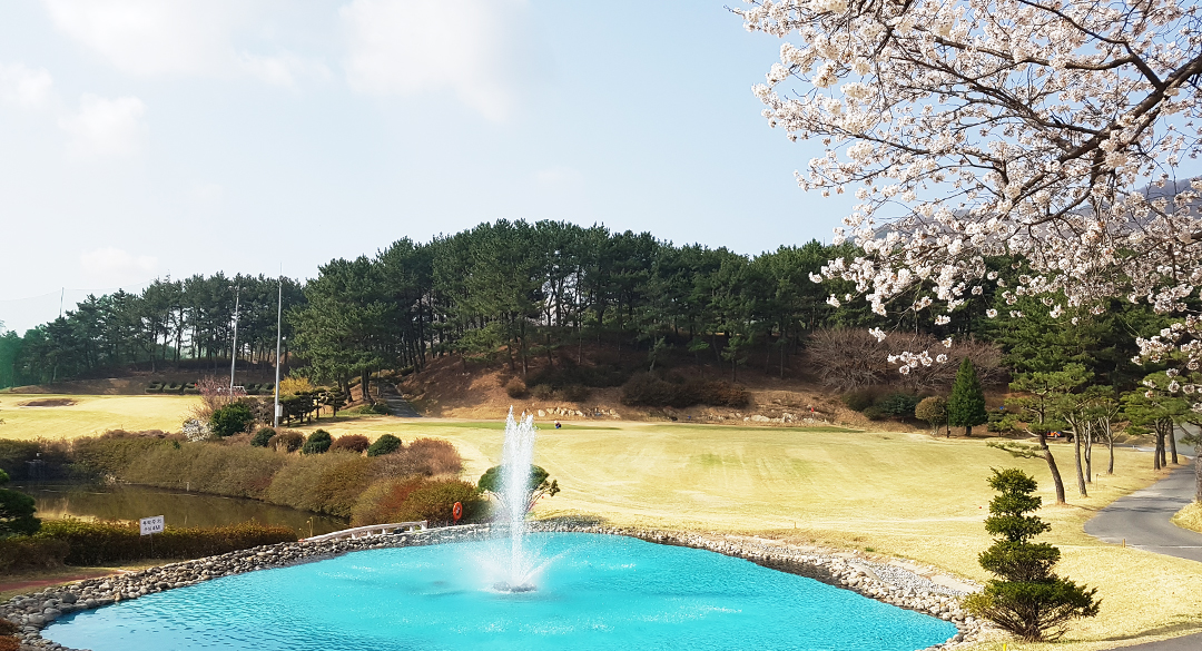 부산컨트리클럽 골프장 예약 이미지 2