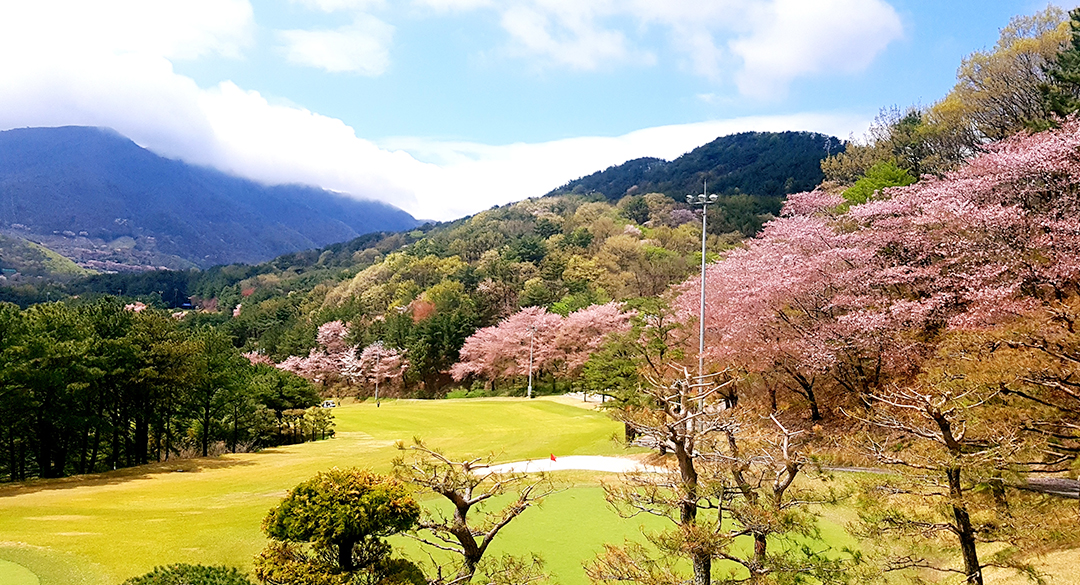 부산컨트리클럽 골프장 예약 이미지 1