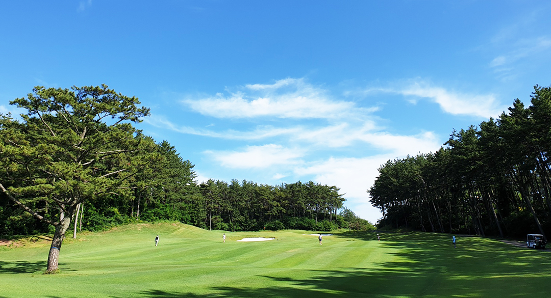 LPGA 인터내셔널 부산컨트리클럽 골프장 예약 이미지 3