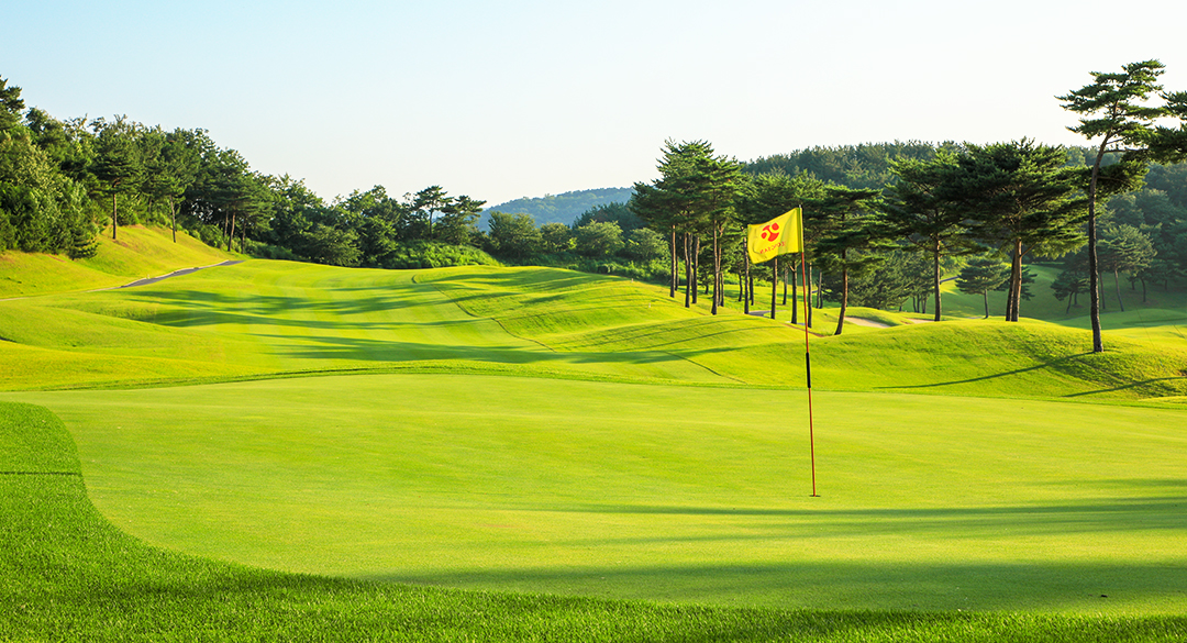 정산컨트리클럽 골프장 예약 이미지 3