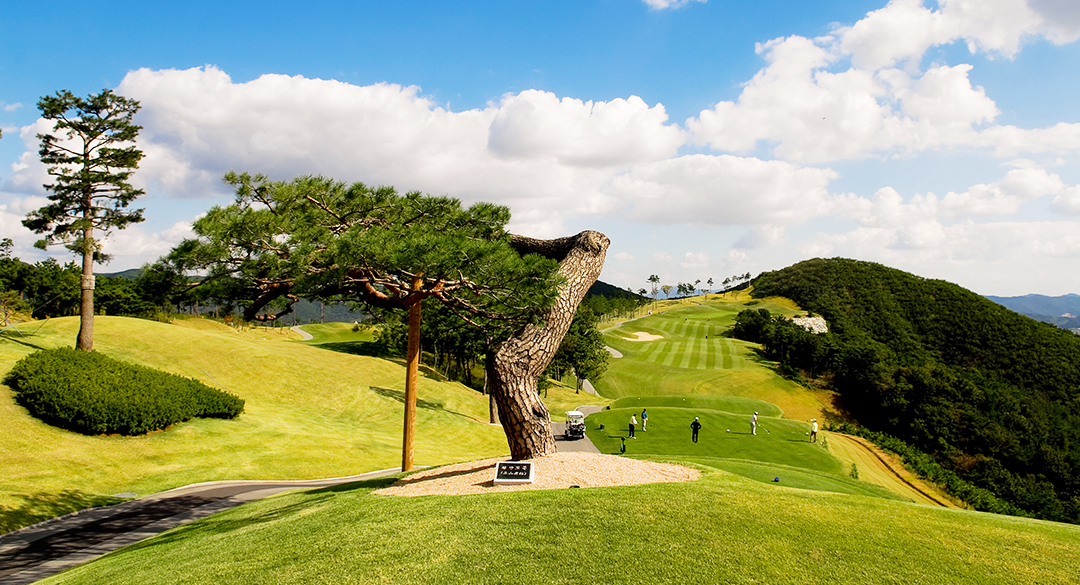 정산컨트리클럽 골프장 예약 이미지 1