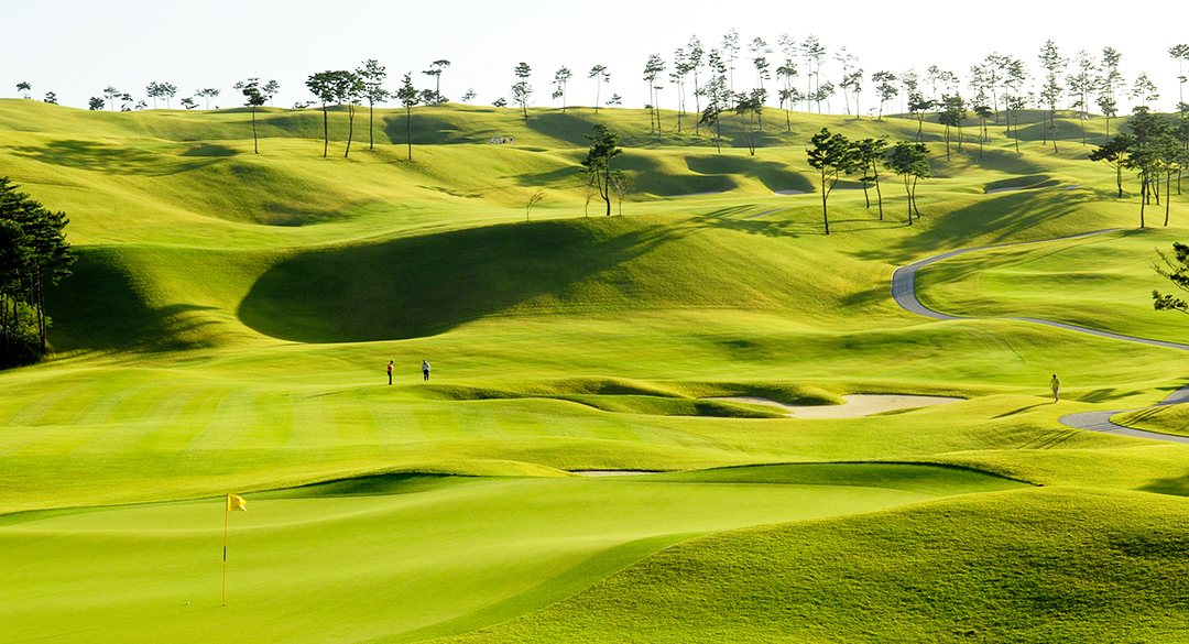정산컨트리클럽 골프장 예약 이미지 5