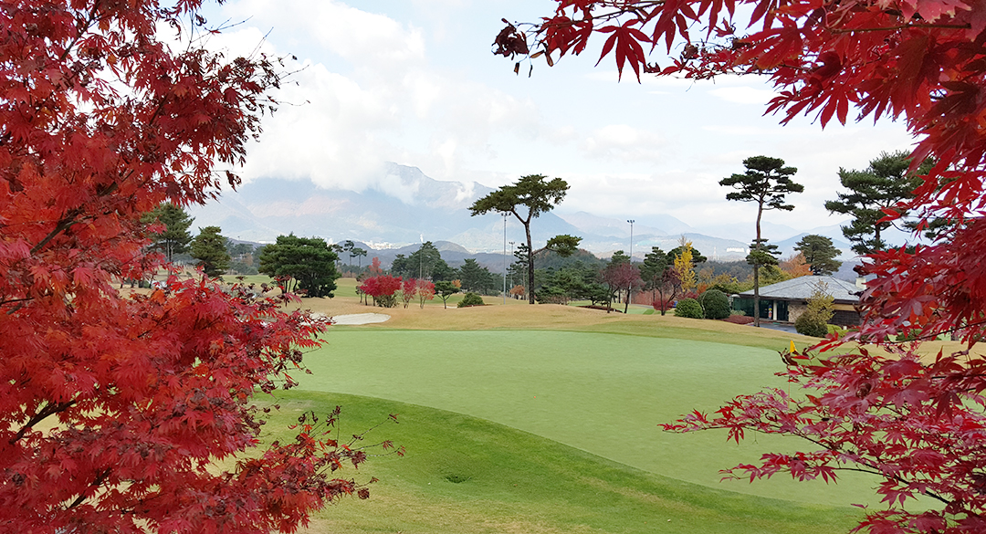 보라컨트리클럽 골프장 예약 이미지 4