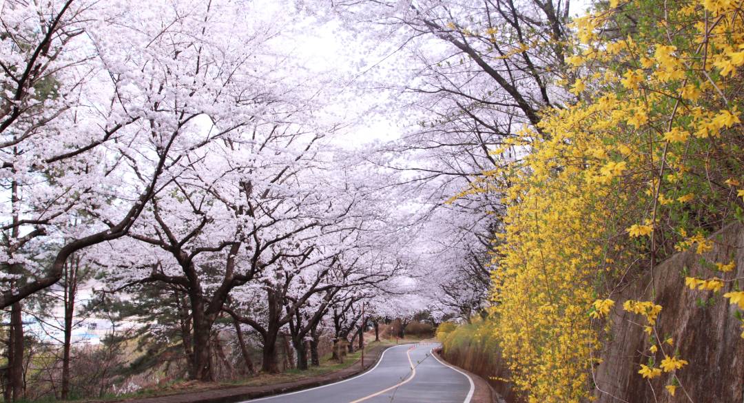 울산컨트리클럽 골프장 예약 이미지 3