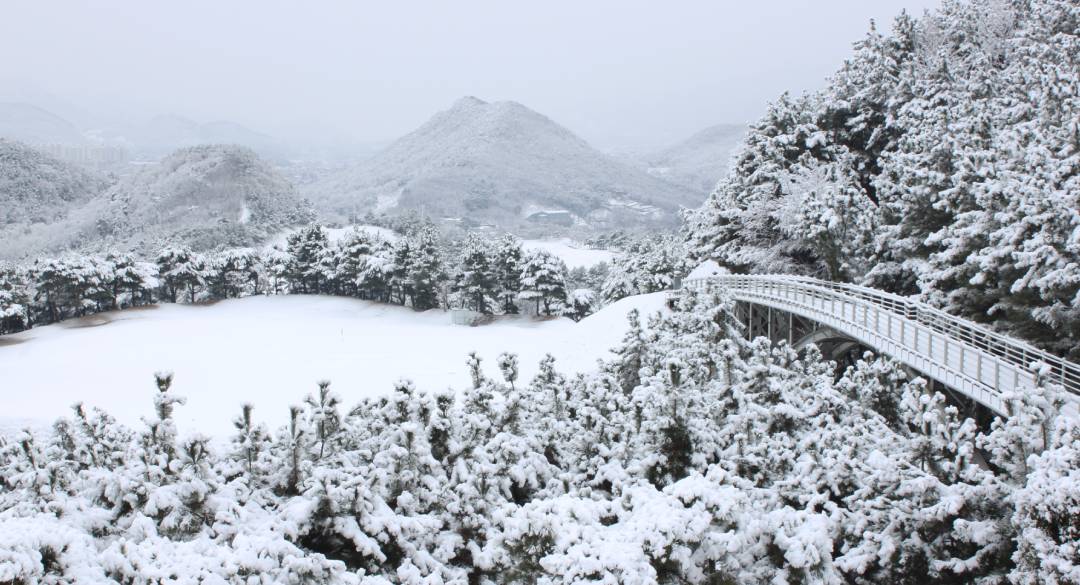울산컨트리클럽 골프장 예약 이미지 6