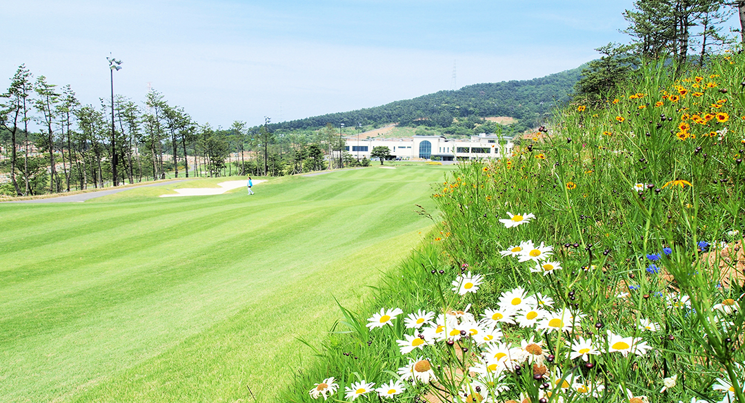 거제뷰컨트리클럽 골프장 예약 이미지 3