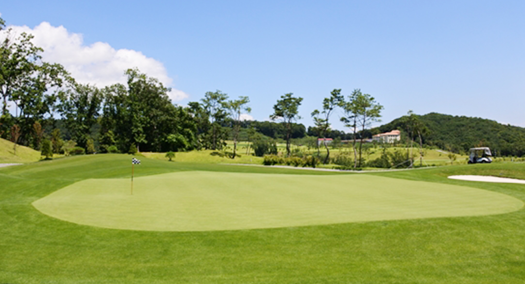 자유로컨트리클럽 골프장 예약 이미지 6