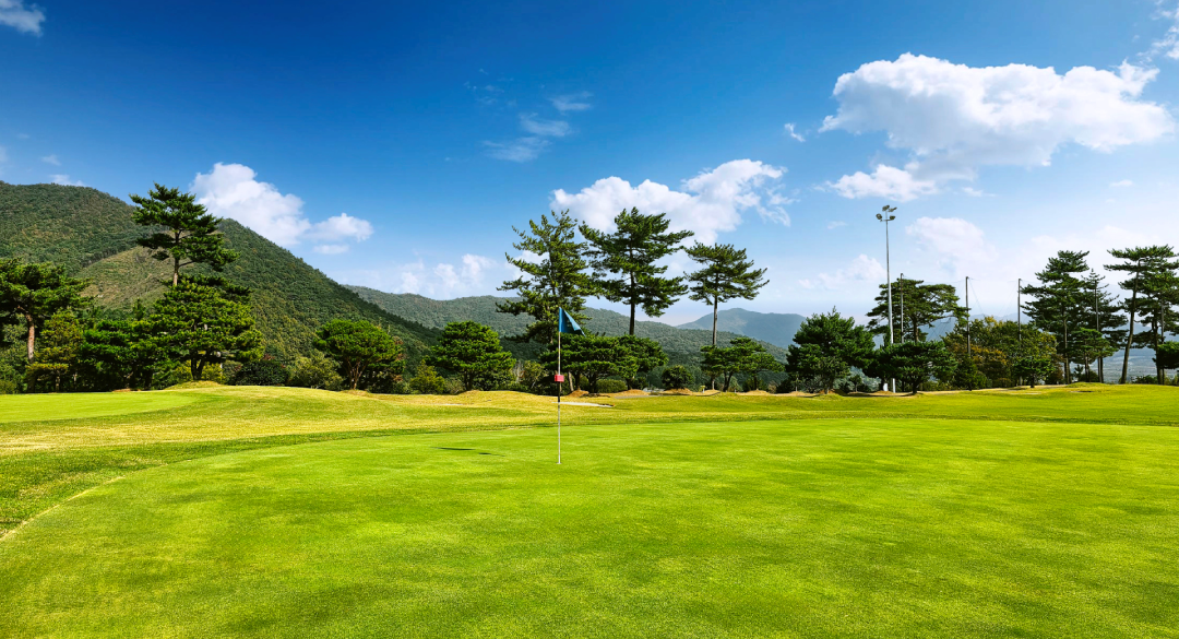 보성컨트리클럽 골프장 예약 이미지 5