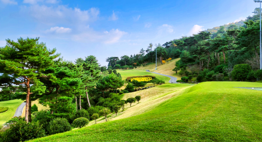 보성컨트리클럽 골프장 예약 이미지 8