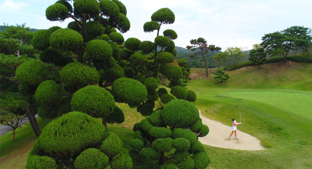 태인컨트리클럽 골프장 예약 이미지 4