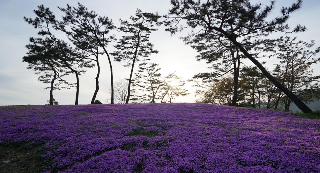 태인컨트리클럽 골프장 예약 이미지 6