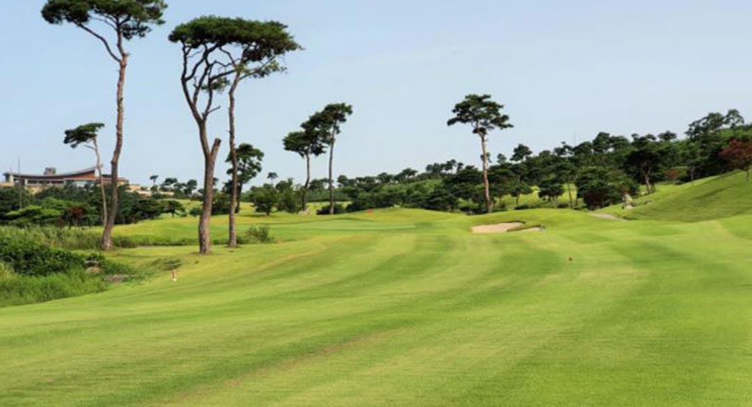 웅포컨트리클럽 골프장 예약 이미지 4