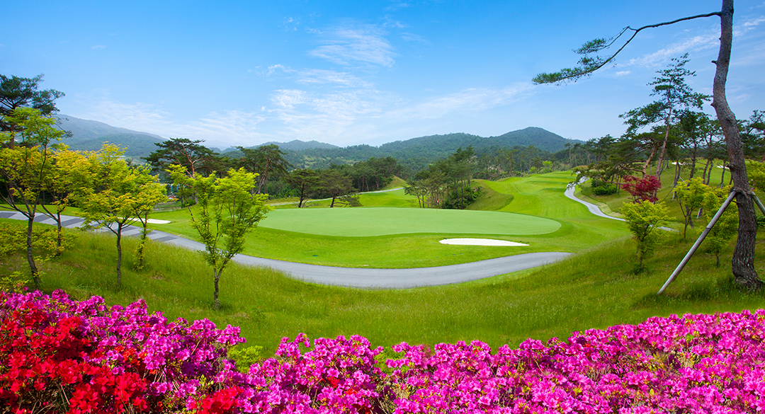 골프존카운티 드래곤컨트리클럽 골프장 예약 이미지 1