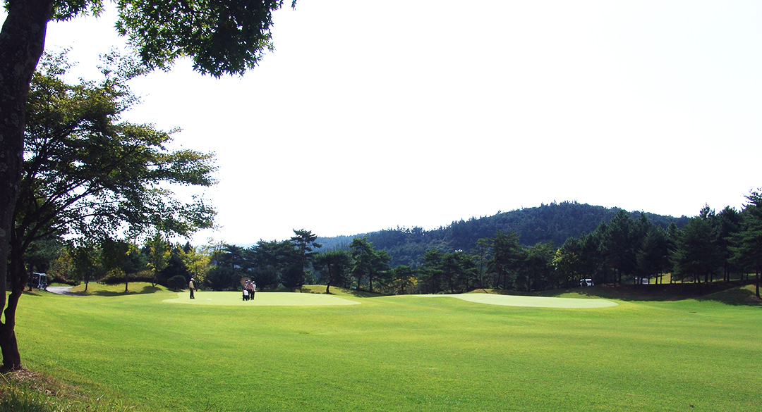 화순엘리체컨트리클럽 골프장 예약 이미지 6