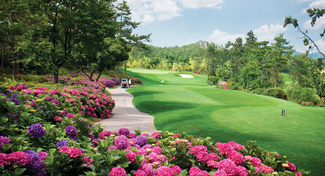 파인비치골프링크스 골프장 예약 이미지 5