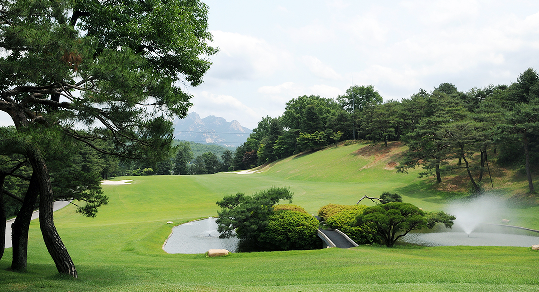 뉴코리아컨트리클럽 골프장 예약 이미지 6