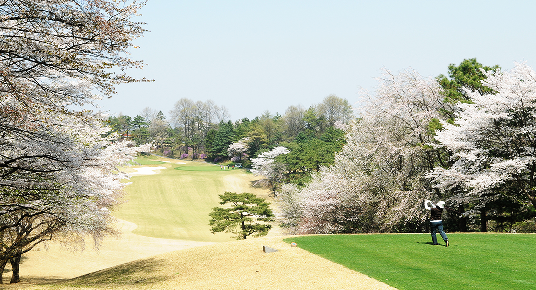 뉴코리아컨트리클럽 골프장 예약 이미지 1