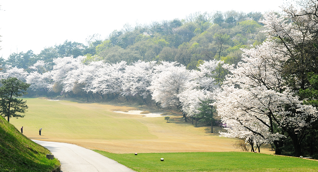 뉴코리아컨트리클럽 골프장 예약 이미지 2
